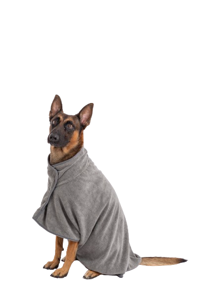 Damaged Coat Restoration Kit for Dogs